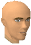 File:Svidi chathead.png