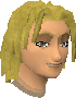 File:Freygerd chathead.png