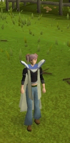 File:Defence emote old.gif