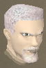 File:Disciple chathead.png