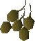 File:Potato seed detail.png