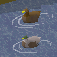 File:Duck.png