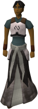 File:Elite void guardian.png