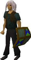 File:Adamant shield (h4) equipped old.png
