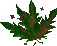 Thumbnail for version as of 23:34, 8 January 2024