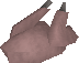 File:Raw oomlie detail.png