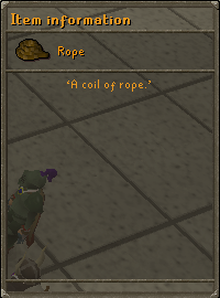 File:Item information without stats.png