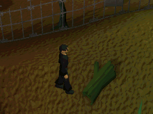 File:Druidic spell.gif