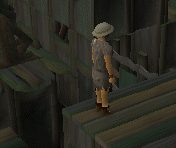 File:Hallowvale Jumping.gif