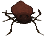 File:Warped Roach.png