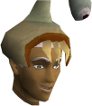 File:Healer hat chathead.png