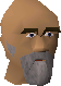 File:Holoy chathead.png