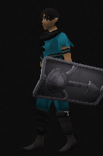 File:Steel sq shield equipped.png