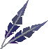 File:Wimpy feather detail.png