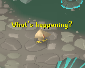 File:ZanarisChicken.png