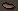 Thumbnail for version as of 23:24, 8 January 2024