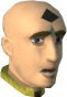 File:Relobo Blinyo (logs) chathead.png