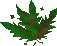 Thumbnail for version as of 23:28, 8 January 2024