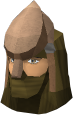 File:Dromoleather coif chathead.png
