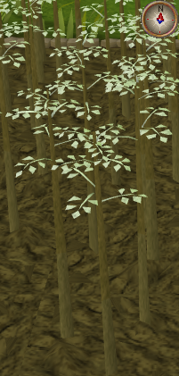 File:Jute4.png