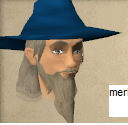 File:Merlin chathead.png