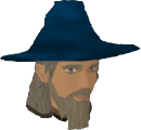 File:Wizard (Watchtower) chathead.png