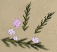 File:Lowland heather detail.png