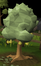 File:Quince tree.png