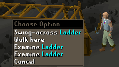 File:Dka ladder.png