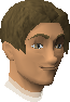 File:Assistant Serf chathead.png
