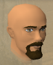File:Botros chathead.png