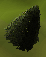 File:Evergreen tree.png