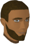 File:Damis chathead (Form 2).png