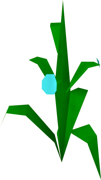 File:Flax detail.png