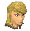 File:Long hair with fringe.png