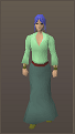 File:Thes Sleeves F Long Sleeves.png