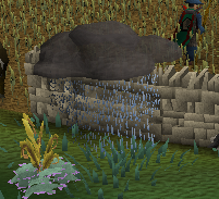 File:Stormcloud2.png