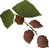 File:Wildblood hops detail.png