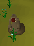 File:Flax1.png