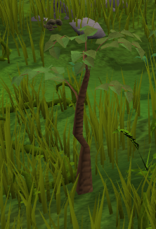 File:Jungle tree.png