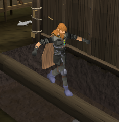 File:Burthrope agility log balance.png