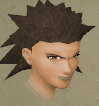 File:Reinn chat.png