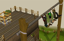 File:Agility courses.jpg