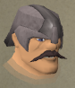 File:Ferd chathead.png