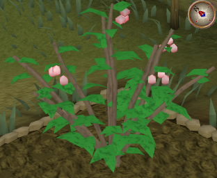 File:Redberry5.png