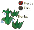 Herbs