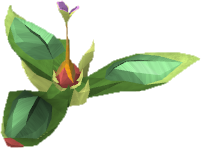 File:Marasamaw planted.png