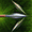 Thumbnail for version as of 23:16, 8 January 2024