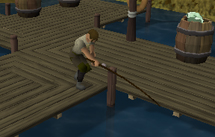 File:Fish flingers.jpg