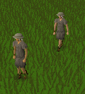 File:Follow.gif